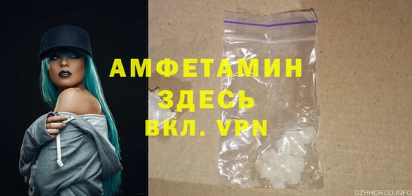 сатива Зеленокумск