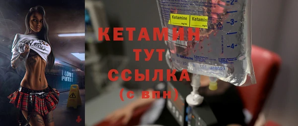 сатива Зеленокумск
