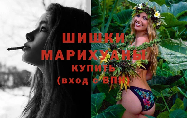 сатива Зеленокумск