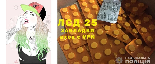 сатива Зеленокумск