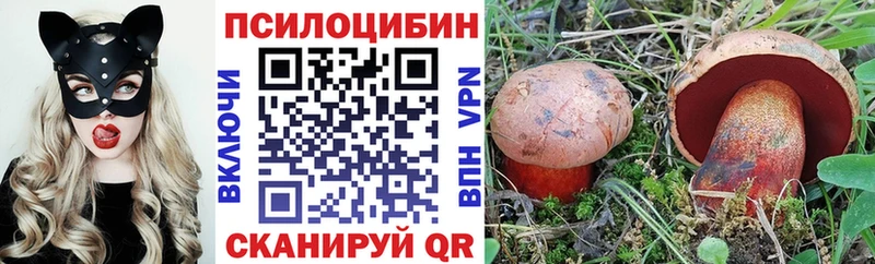 Псилоцибиновые грибы MAGIC MUSHROOMS  omg зеркало  Демидов 